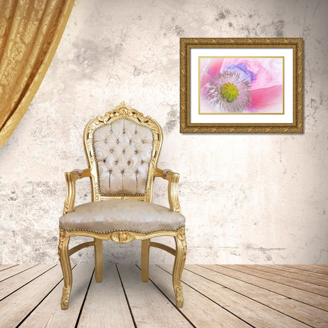 Poppy High Key I Gold Ornate Wood Framed Art Print with Double Matting by Mahan, Kathy