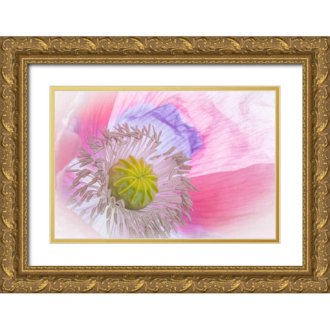 Poppy High Key I Gold Ornate Wood Framed Art Print with Double Matting by Mahan, Kathy