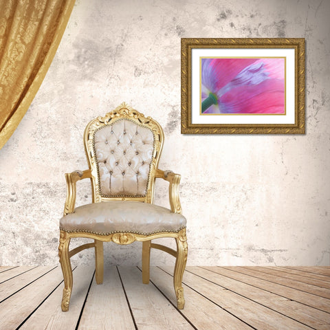 Pink Poppy I Gold Ornate Wood Framed Art Print with Double Matting by Mahan, Kathy