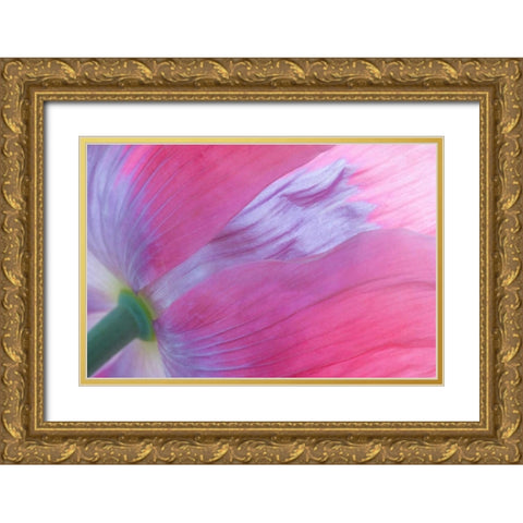 Pink Poppy I Gold Ornate Wood Framed Art Print with Double Matting by Mahan, Kathy