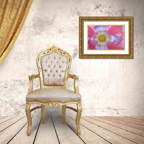 Pink Poppy II Gold Ornate Wood Framed Art Print with Double Matting by Mahan, Kathy