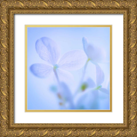 Hydrangea Blossoms I Gold Ornate Wood Framed Art Print with Double Matting by Mahan, Kathy