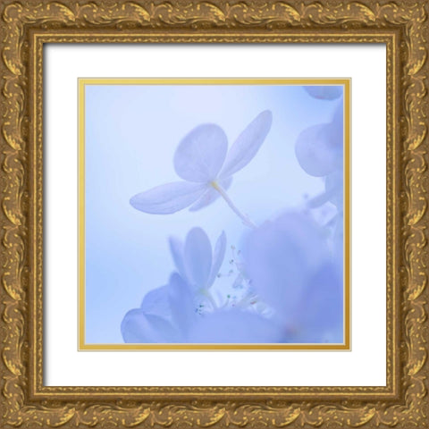 Hydrangea Blossom II Gold Ornate Wood Framed Art Print with Double Matting by Mahan, Kathy