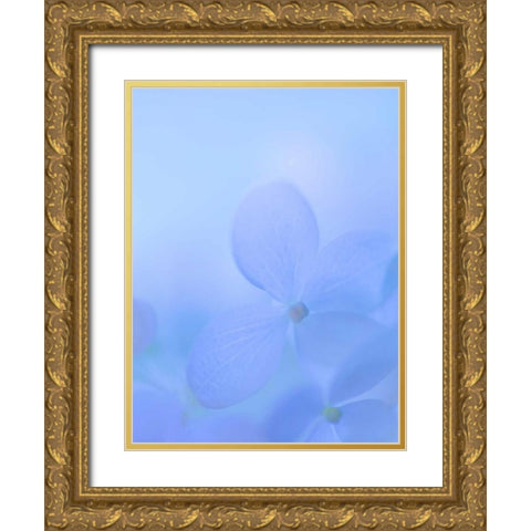 Hydrangea Paniculata I Gold Ornate Wood Framed Art Print with Double Matting by Mahan, Kathy