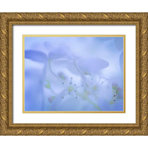 Lime Light Hydrangea I Gold Ornate Wood Framed Art Print with Double Matting by Mahan, Kathy
