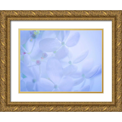 Lime Light Hydrangea II Gold Ornate Wood Framed Art Print with Double Matting by Mahan, Kathy