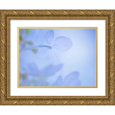Lime Light Hydrangea III Gold Ornate Wood Framed Art Print with Double Matting by Mahan, Kathy