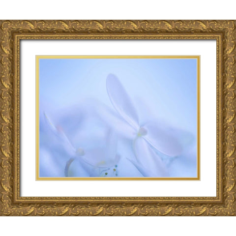 Lime Light Hydrangea IV Gold Ornate Wood Framed Art Print with Double Matting by Mahan, Kathy