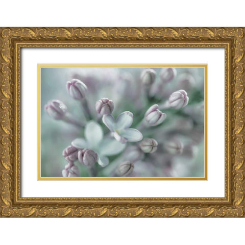 Lilac Blossom I Gold Ornate Wood Framed Art Print with Double Matting by Mahan, Kathy