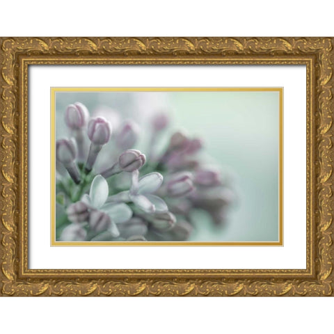 Lilac Blossom II Gold Ornate Wood Framed Art Print with Double Matting by Mahan, Kathy