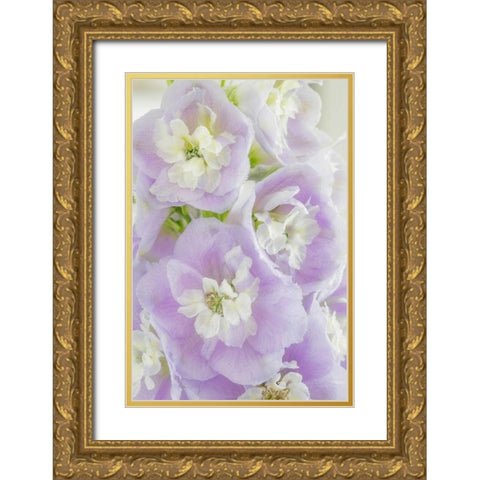 Delphinium Blossoms I Gold Ornate Wood Framed Art Print with Double Matting by Mahan, Kathy