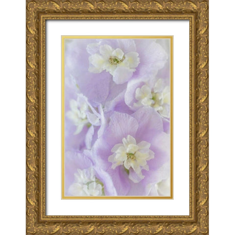 Delphinium Blossoms II Gold Ornate Wood Framed Art Print with Double Matting by Mahan, Kathy