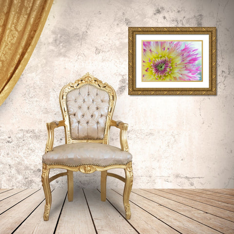Dahlia Close Up IV Gold Ornate Wood Framed Art Print with Double Matting by Mahan, Kathy