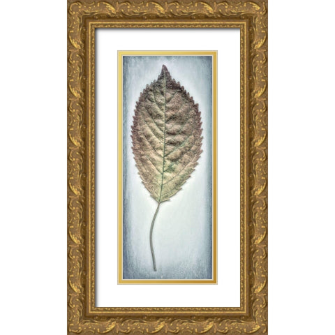 Cherry Leaf II Gold Ornate Wood Framed Art Print with Double Matting by Mahan, Kathy