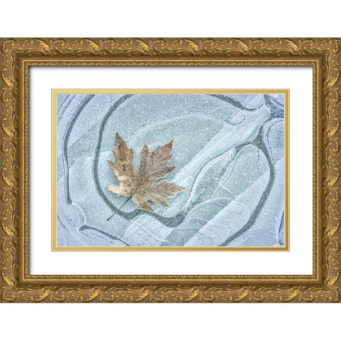 Frosty Leaf on Ice I Gold Ornate Wood Framed Art Print with Double Matting by Mahan, Kathy