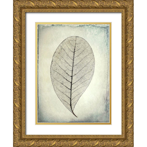 Skeletonized leaf Gold Ornate Wood Framed Art Print with Double Matting by Mahan, Kathy