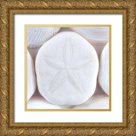 Seashells I Gold Ornate Wood Framed Art Print with Double Matting by Mahan, Kathy