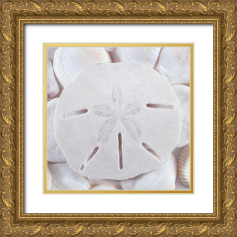 Seashells II Gold Ornate Wood Framed Art Print with Double Matting by Mahan, Kathy