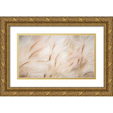 Foxtail Barley IV Gold Ornate Wood Framed Art Print with Double Matting by Mahan, Kathy