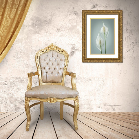 Peace Lily I Gold Ornate Wood Framed Art Print with Double Matting by Mahan, Kathy