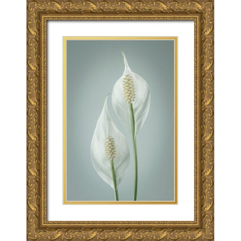 Peace Lily I Gold Ornate Wood Framed Art Print with Double Matting by Mahan, Kathy