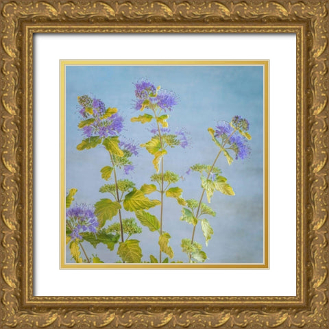 Caryopteris I Gold Ornate Wood Framed Art Print with Double Matting by Mahan, Kathy