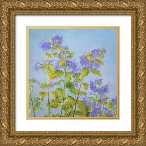 Caryopteris II Gold Ornate Wood Framed Art Print with Double Matting by Mahan, Kathy