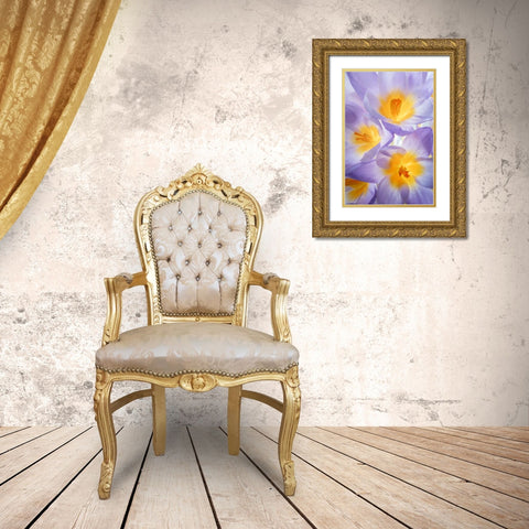 Crocus Blooms II Gold Ornate Wood Framed Art Print with Double Matting by Mahan, Kathy