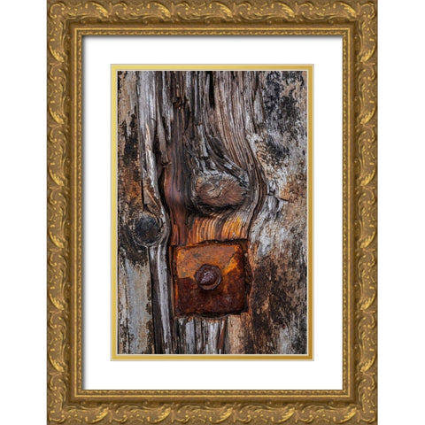 Wood Details II Gold Ornate Wood Framed Art Print with Double Matting by Mahan, Kathy