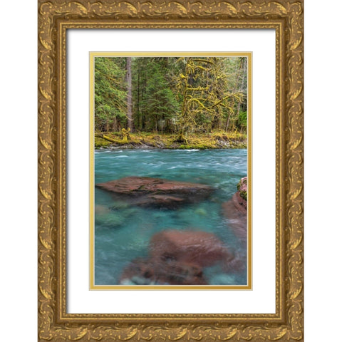 NF Skokomish River III Gold Ornate Wood Framed Art Print with Double Matting by Mahan, Kathy