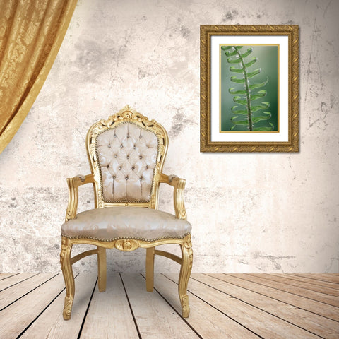 Sword Fern in Spring I Gold Ornate Wood Framed Art Print with Double Matting by Mahan, Kathy