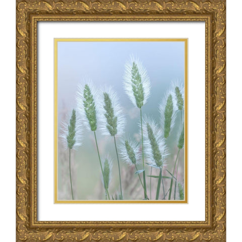 Going to Seed II Gold Ornate Wood Framed Art Print with Double Matting by Mahan, Kathy