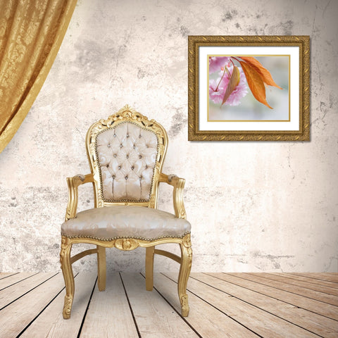 Pink Cherry Blossoms II Gold Ornate Wood Framed Art Print with Double Matting by Mahan, Kathy