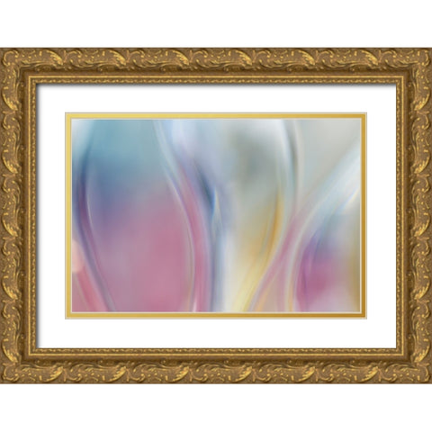 Colorful Waves I Gold Ornate Wood Framed Art Print with Double Matting by Mahan, Kathy