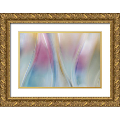 Colorful Waves II Gold Ornate Wood Framed Art Print with Double Matting by Mahan, Kathy