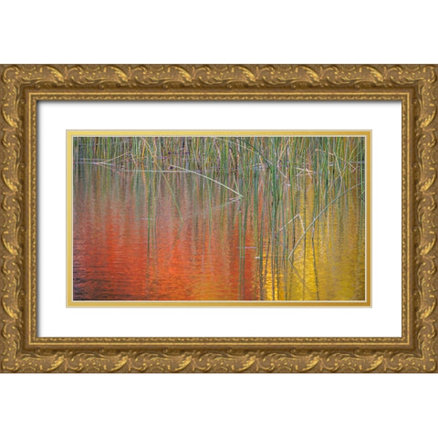 Fall Reflections II Gold Ornate Wood Framed Art Print with Double Matting by Mahan, Kathy