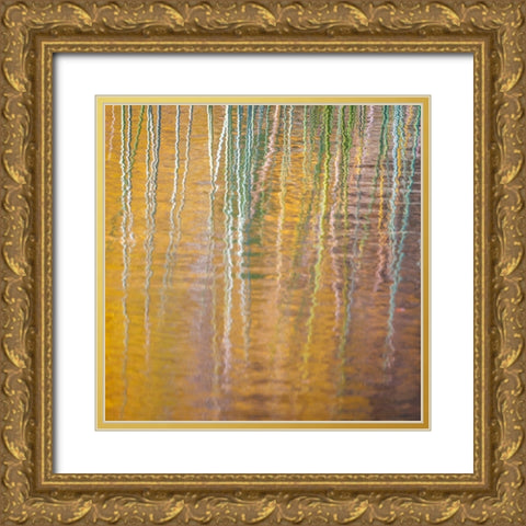 Fall Reflections III Gold Ornate Wood Framed Art Print with Double Matting by Mahan, Kathy