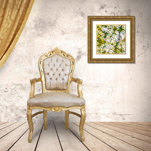 Fanciful Feverfew II Gold Ornate Wood Framed Art Print with Double Matting by Mahan, Kathy