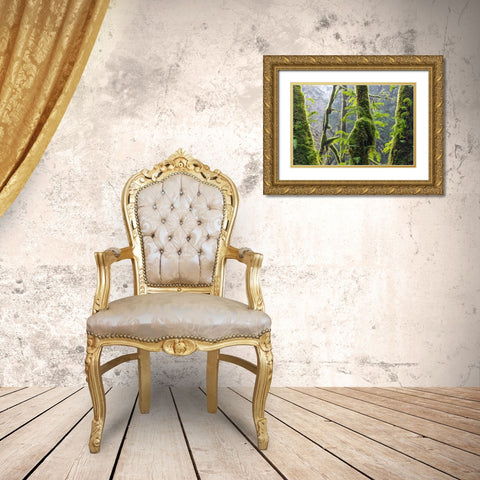 Licorice Ferns II Gold Ornate Wood Framed Art Print with Double Matting by Mahan, Kathy