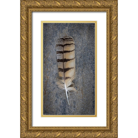 Feather Portrait IV Gold Ornate Wood Framed Art Print with Double Matting by Mahan, Kathy
