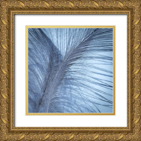 Downy Feather I Gold Ornate Wood Framed Art Print with Double Matting by Mahan, Kathy