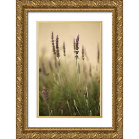 Lavender I Gold Ornate Wood Framed Art Print with Double Matting by Millet, Karyn