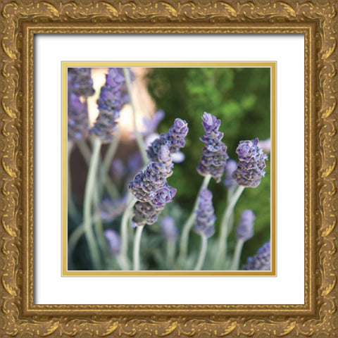 Lavender II Gold Ornate Wood Framed Art Print with Double Matting by Millet, Karyn
