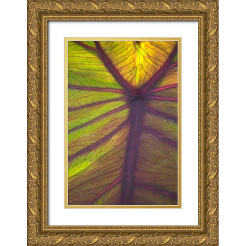 Sun in the Leaves I Gold Ornate Wood Framed Art Print with Double Matting by Millet, Karyn
