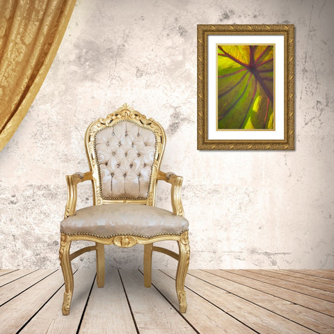 Sun in the Leaves II Gold Ornate Wood Framed Art Print with Double Matting by Millet, Karyn