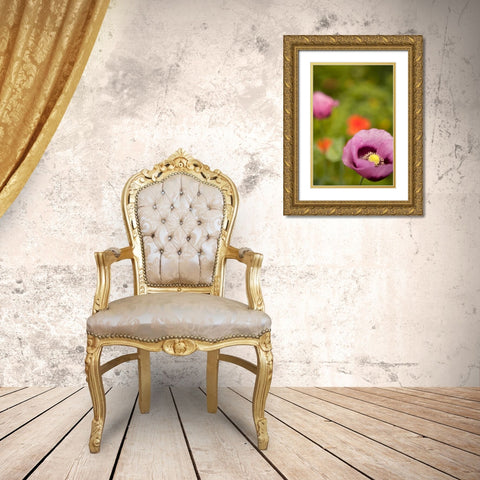 Purple Poppy II Gold Ornate Wood Framed Art Print with Double Matting by Millet, Karyn