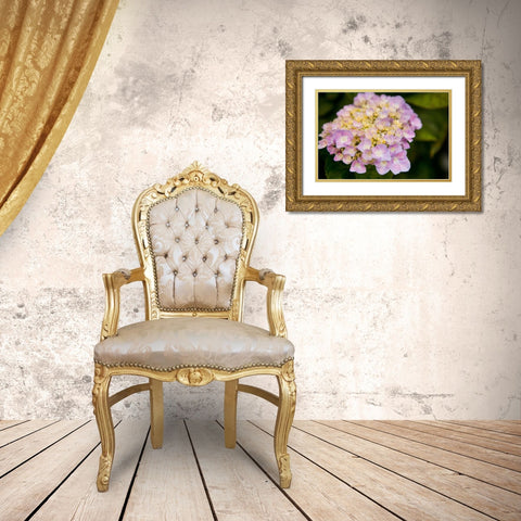 Hydrangeas I Gold Ornate Wood Framed Art Print with Double Matting by Millet, Karyn