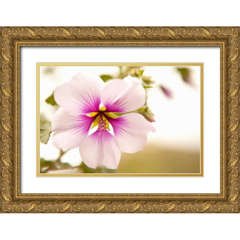 Macro Bloom I Gold Ornate Wood Framed Art Print with Double Matting by Millet, Karyn