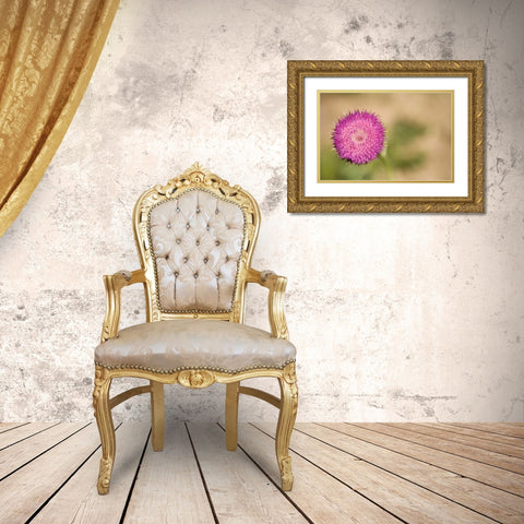 Macro Bloom II Gold Ornate Wood Framed Art Print with Double Matting by Millet, Karyn