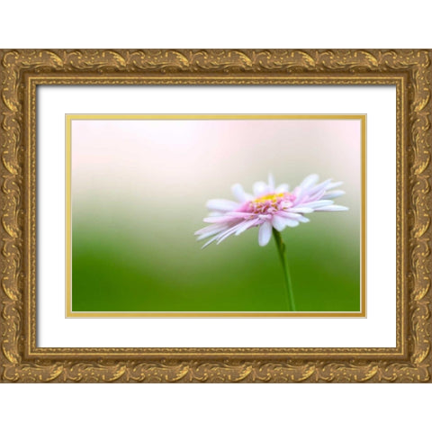 Macro Bloom III Gold Ornate Wood Framed Art Print with Double Matting by Millet, Karyn